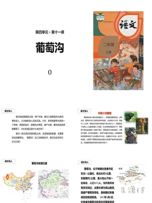 葡萄沟PPT课件6