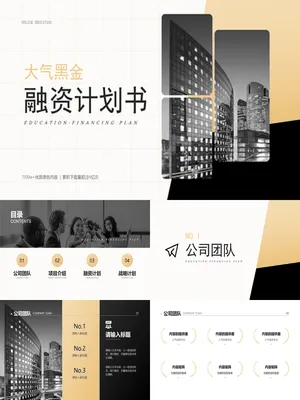 大气黑金商业融资计划书