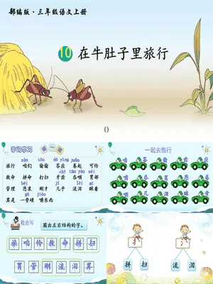 在牛肚子里旅行PPT课件8