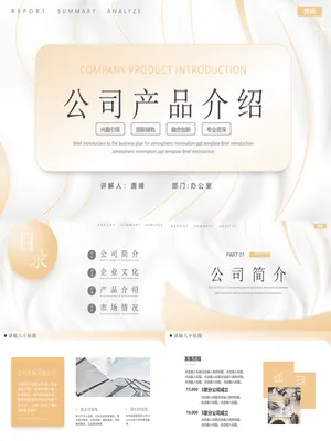 SW00087JS00049完美商业计划PPT标准页设计