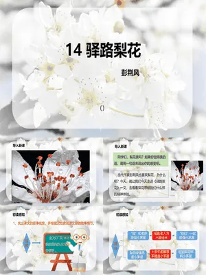 驿路梨花PPT课件7