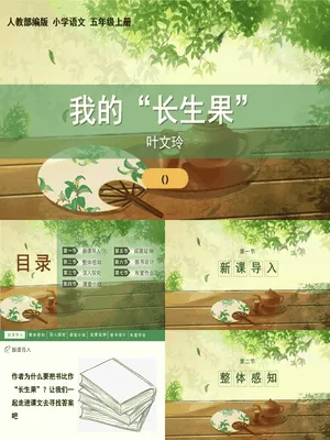 我的长生果PPT课件8