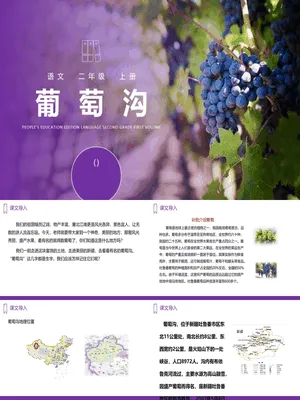 葡萄沟PPT课件3