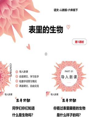 表里的生物PPT课件1