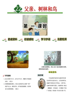 父亲树林和鸟PPT课件8