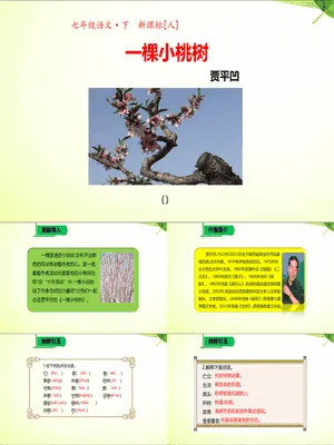 一颗小桃树PPT课件5