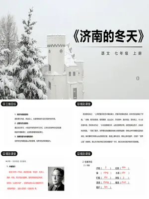 济南的冬天PPT课件4