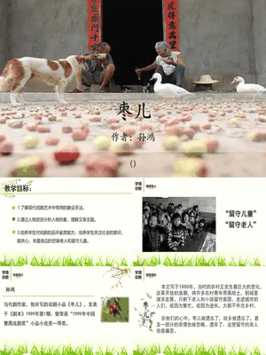 枣儿PPT课件8