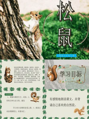 松鼠PPT课件1
