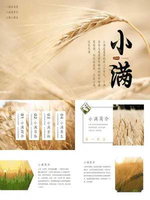 JR0078小满节气传统文化