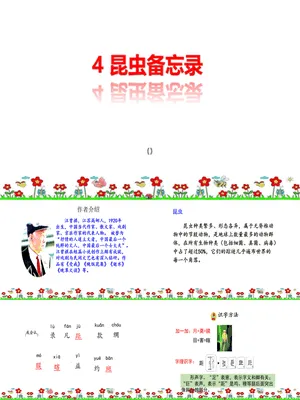 昆虫备忘录PPT课件6