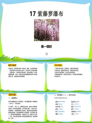 紫藤萝瀑布PPT课件3
