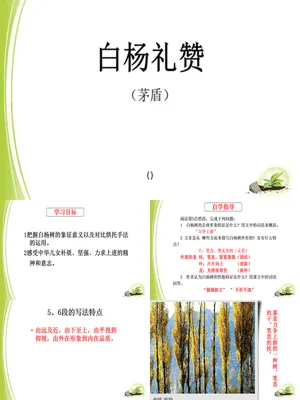 白杨礼赞PPT课件3