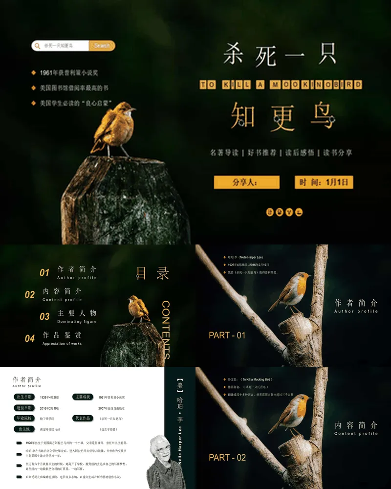 《杀死一只知更鸟》好书推荐分享读后感悟