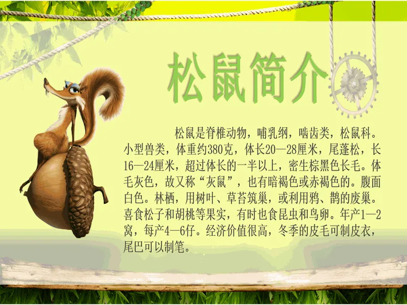 PPT内页预览