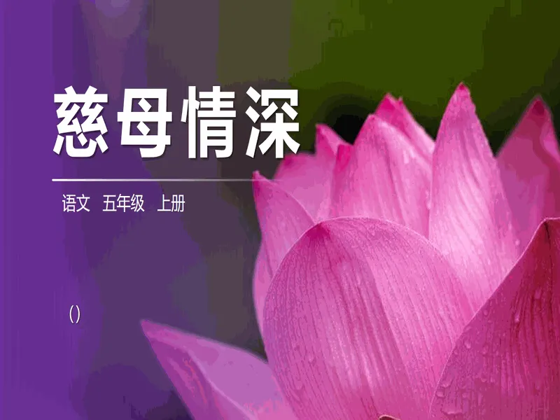 PPT内页预览