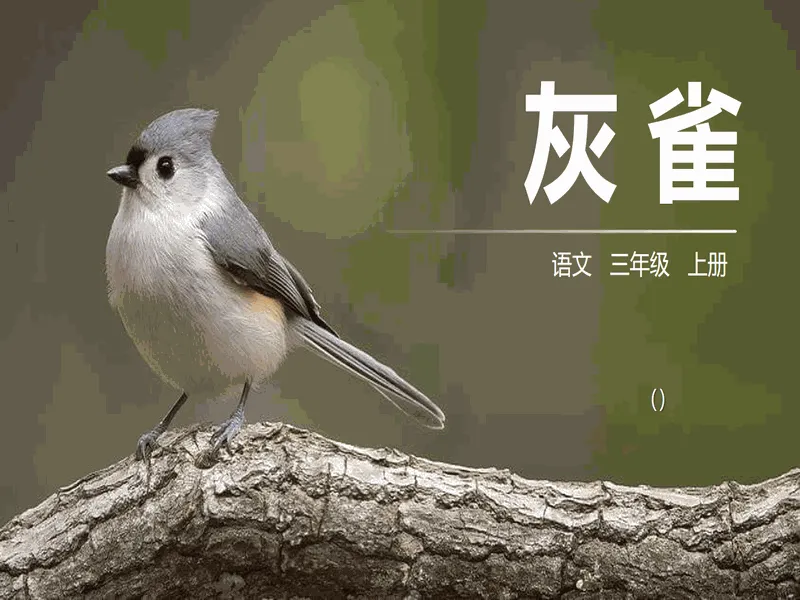 PPT内页预览