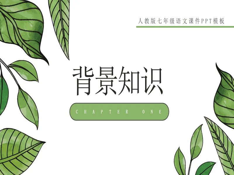 PPT内页预览