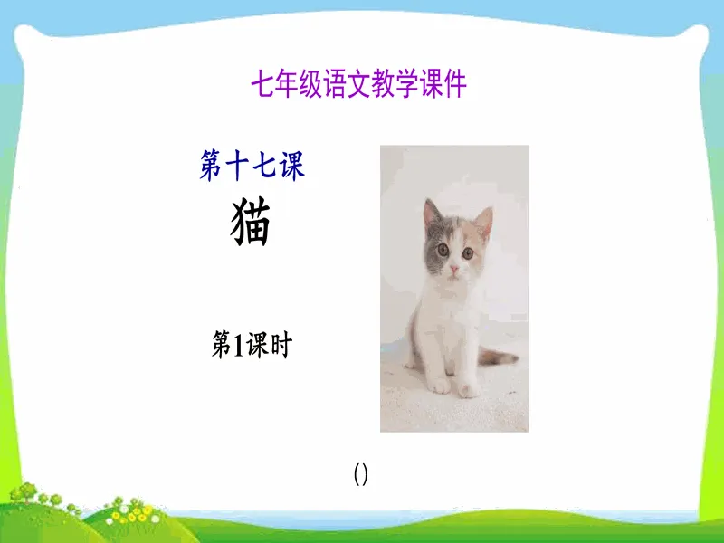 PPT内页预览