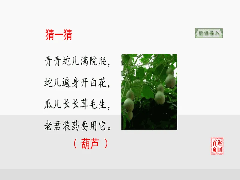 PPT内页预览