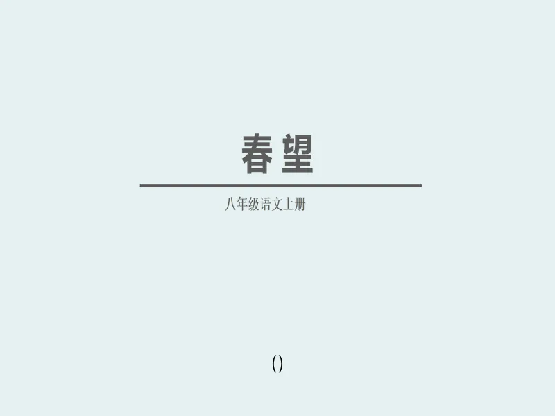 PPT内页预览
