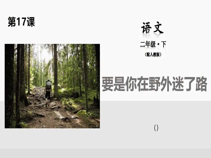 PPT内页预览