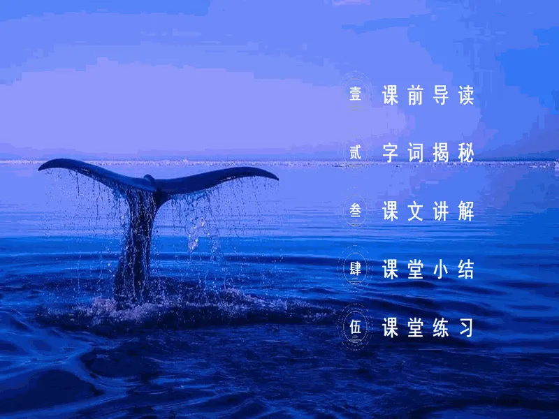 PPT内页预览