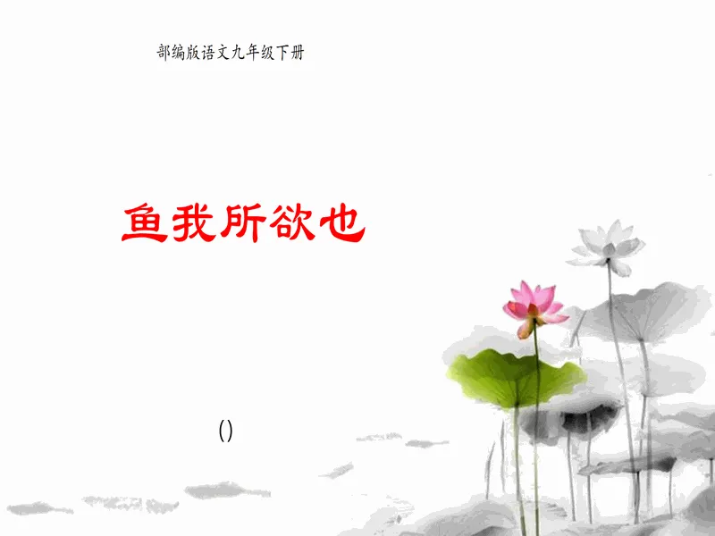 PPT内页预览