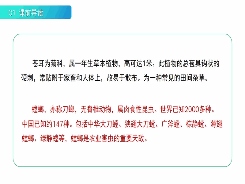 PPT内页预览