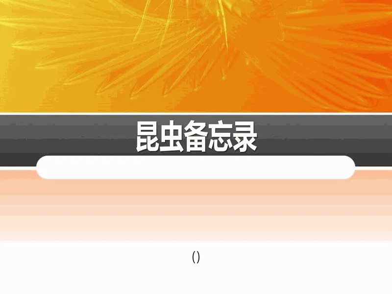 PPT内页预览