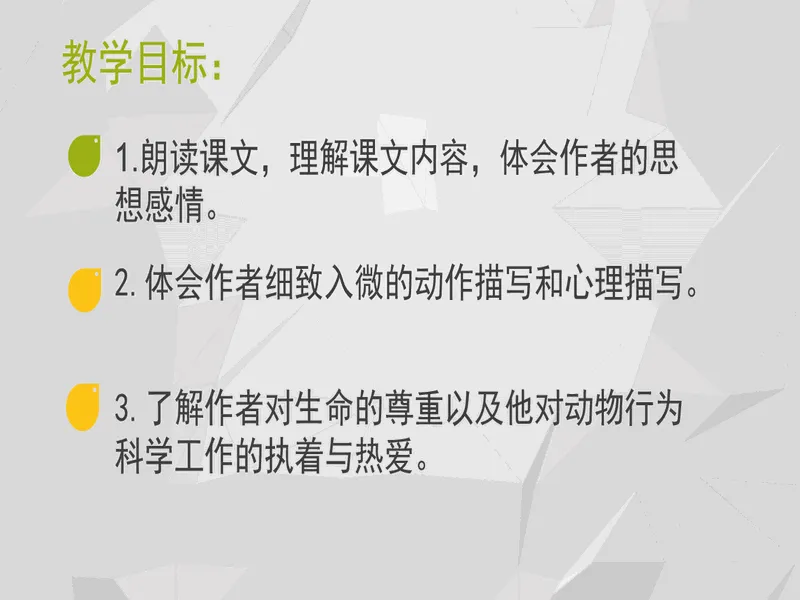 PPT内页预览