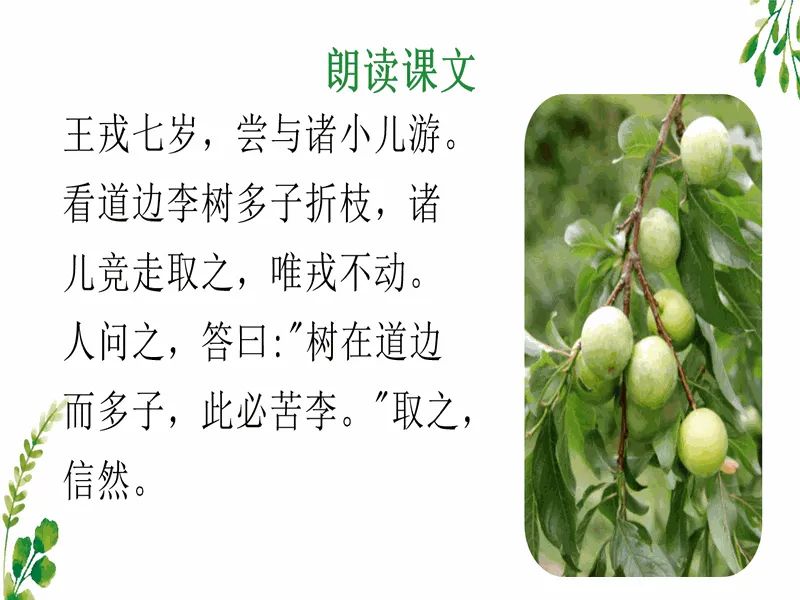 PPT内页预览