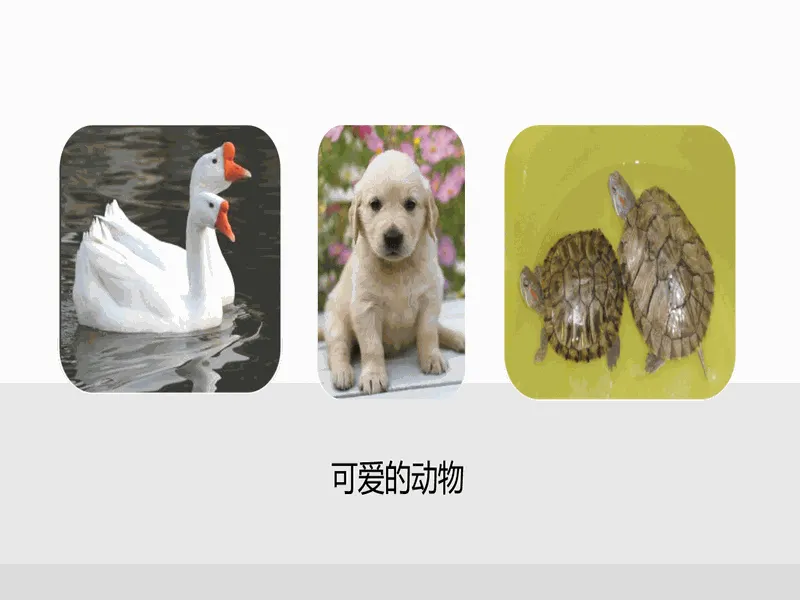 PPT内页预览