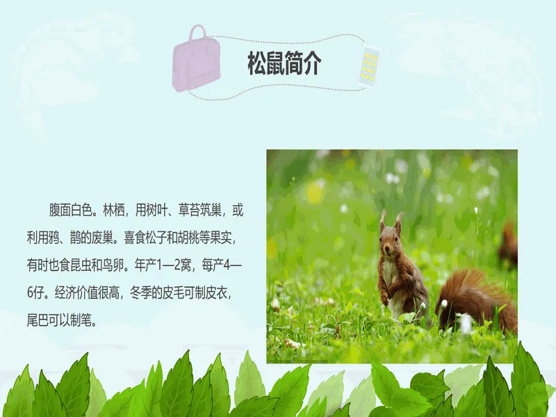 PPT内页预览