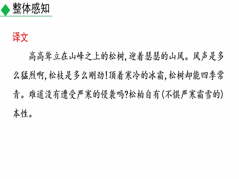 PPT内页预览