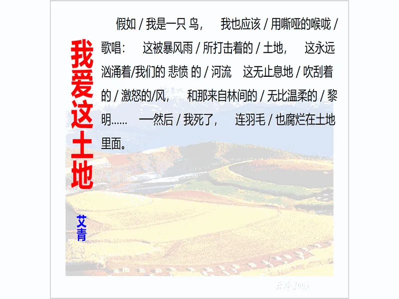 PPT内页预览