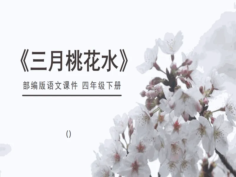PPT内页预览
