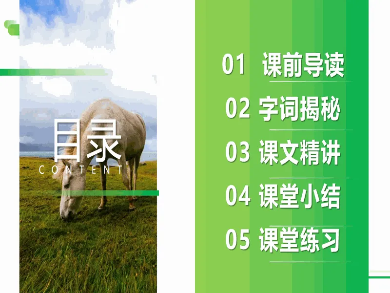 PPT内页预览