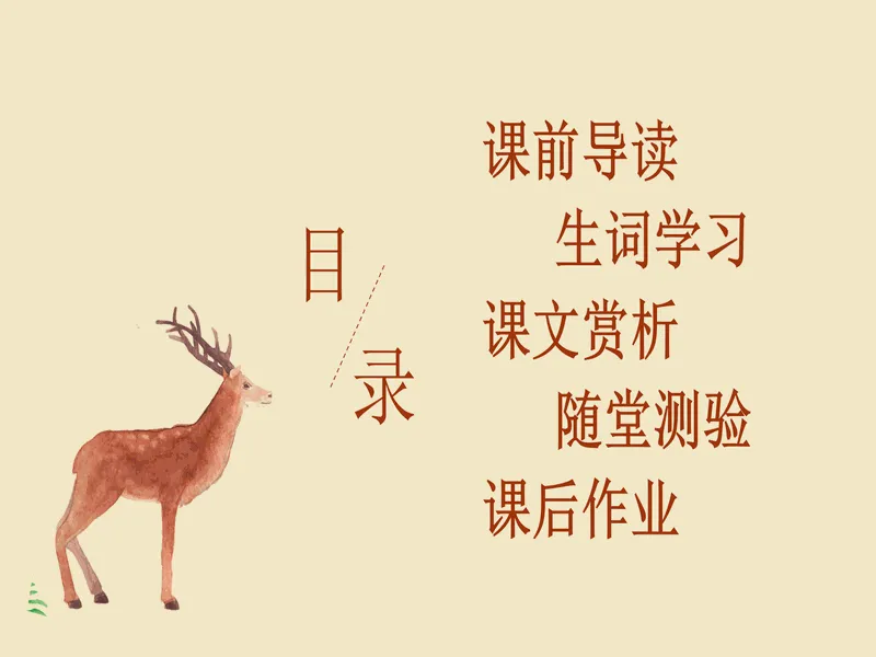 PPT内页预览