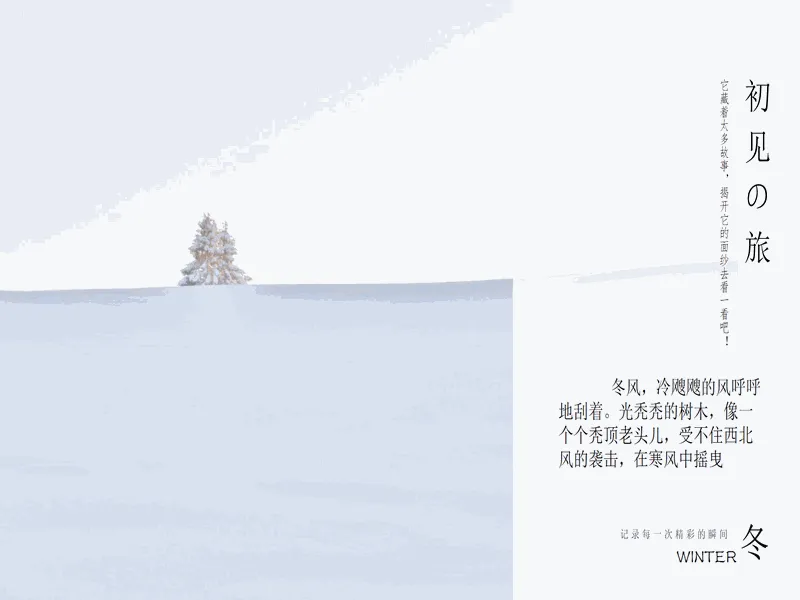 PPT内页预览