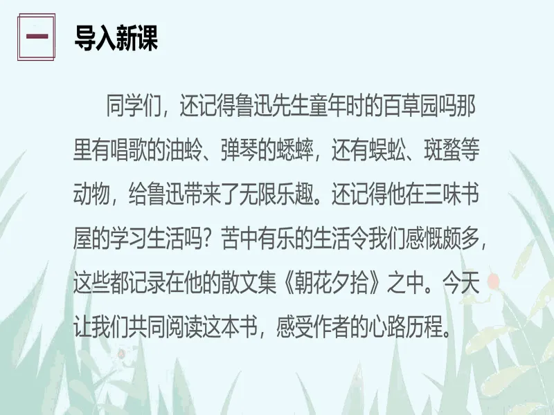 PPT内页预览