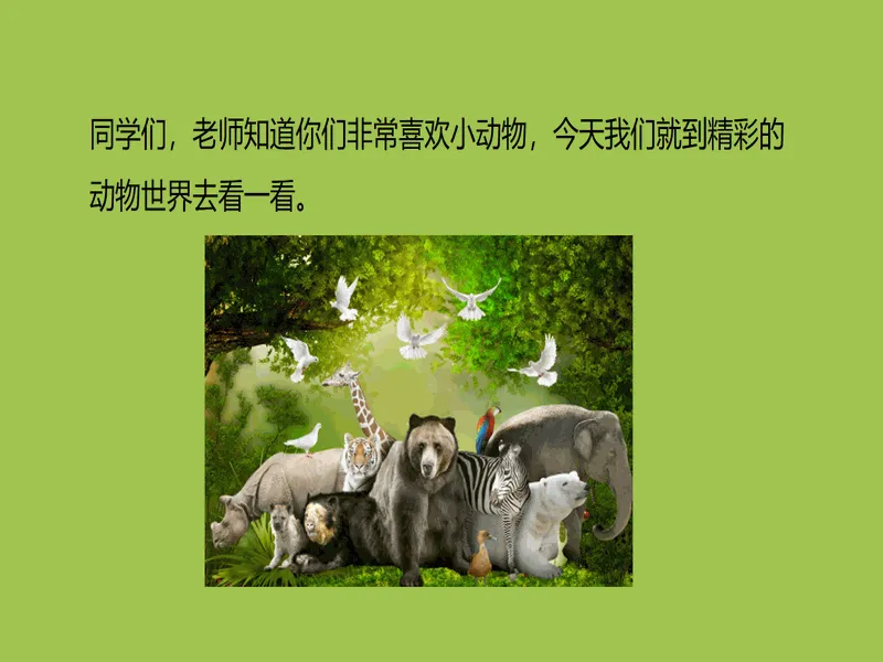 PPT内页预览