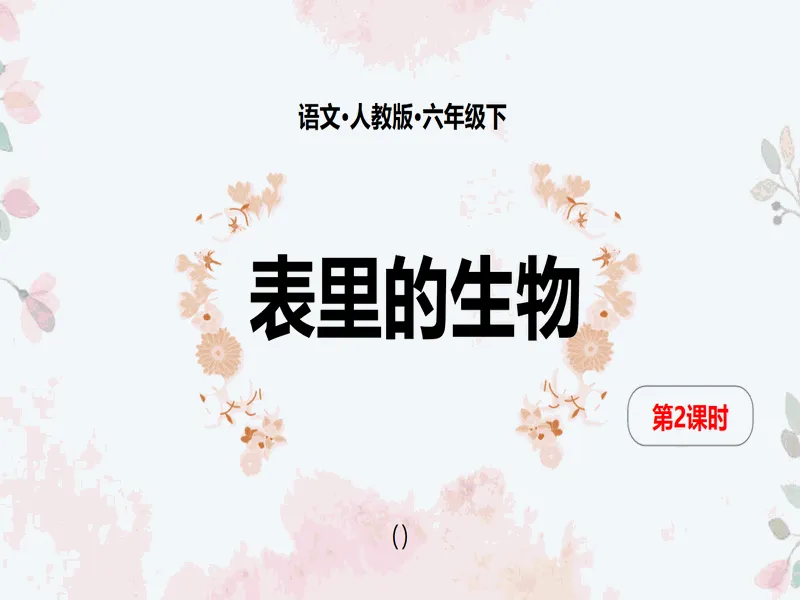 PPT内页预览