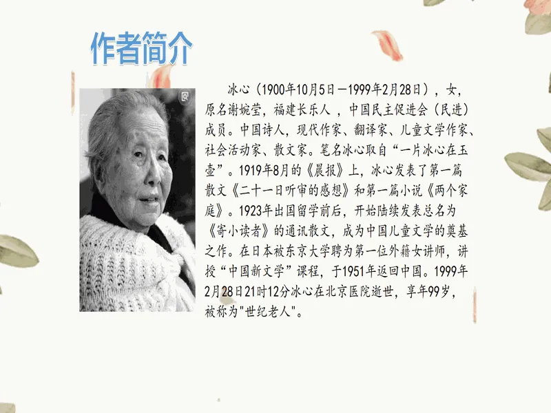 PPT内页预览