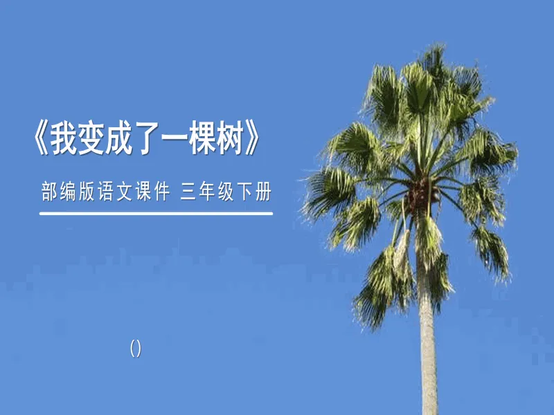 PPT内页预览
