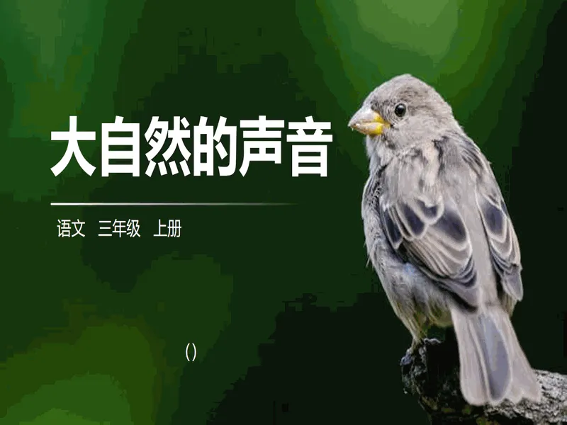 PPT内页预览