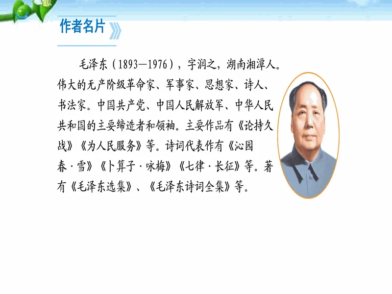 PPT内页预览