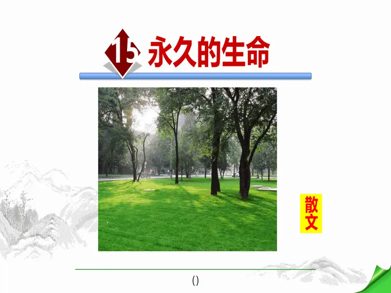PPT内页预览