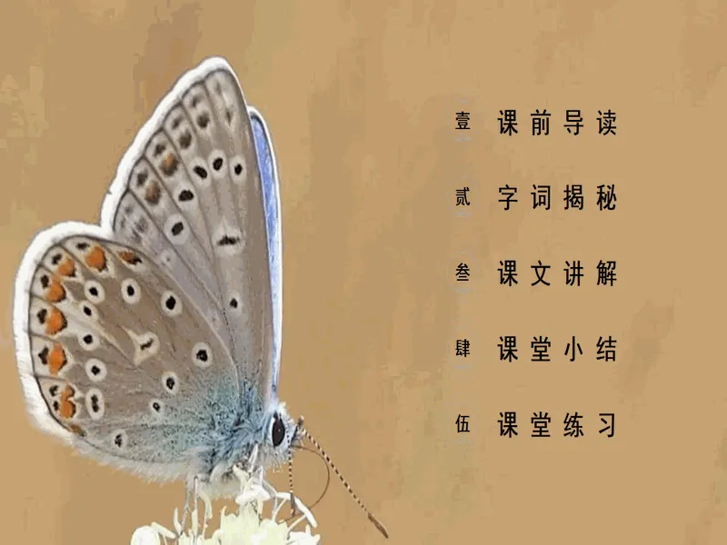 PPT内页预览