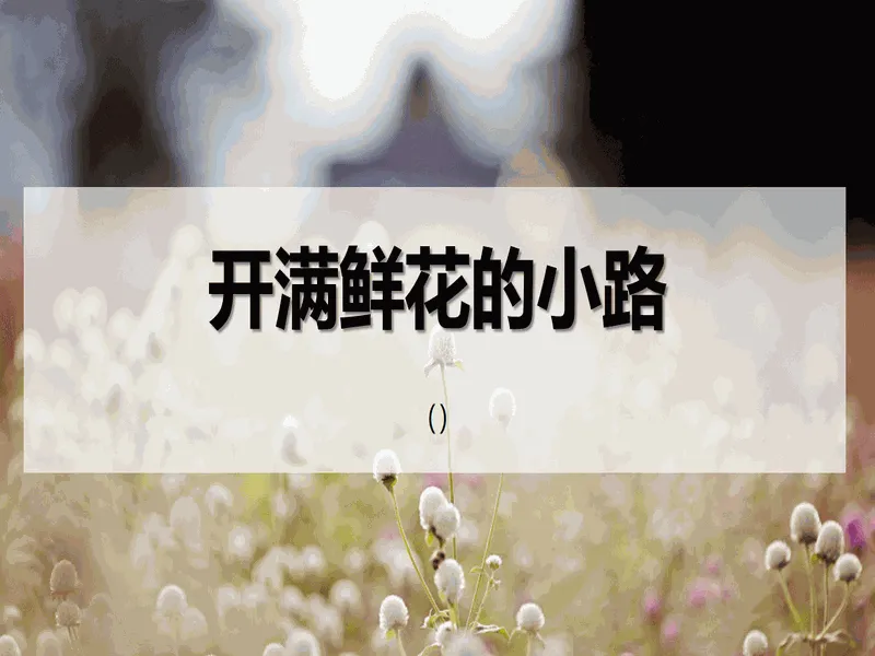 PPT内页预览